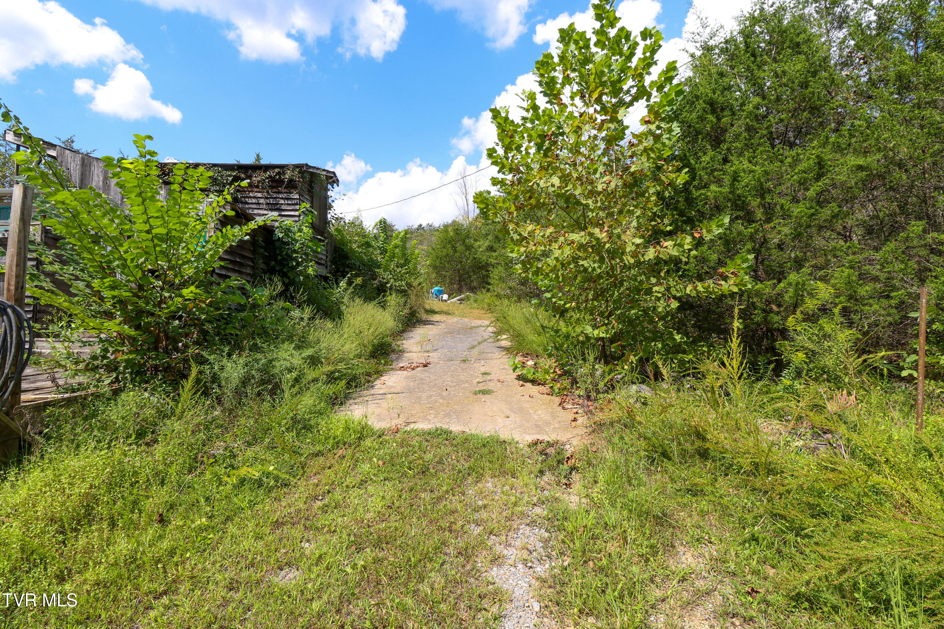 174 Coates Road Bulls Gap, TN 37711 - Photo 10 of 37 AM0A5918_1