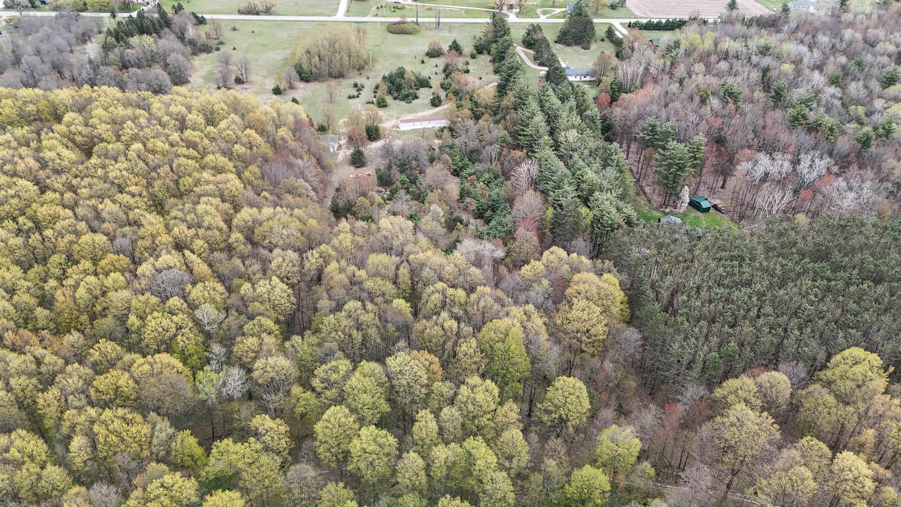 7274 South Forward Road McBain, MI 49657 - Photo 73 of 76