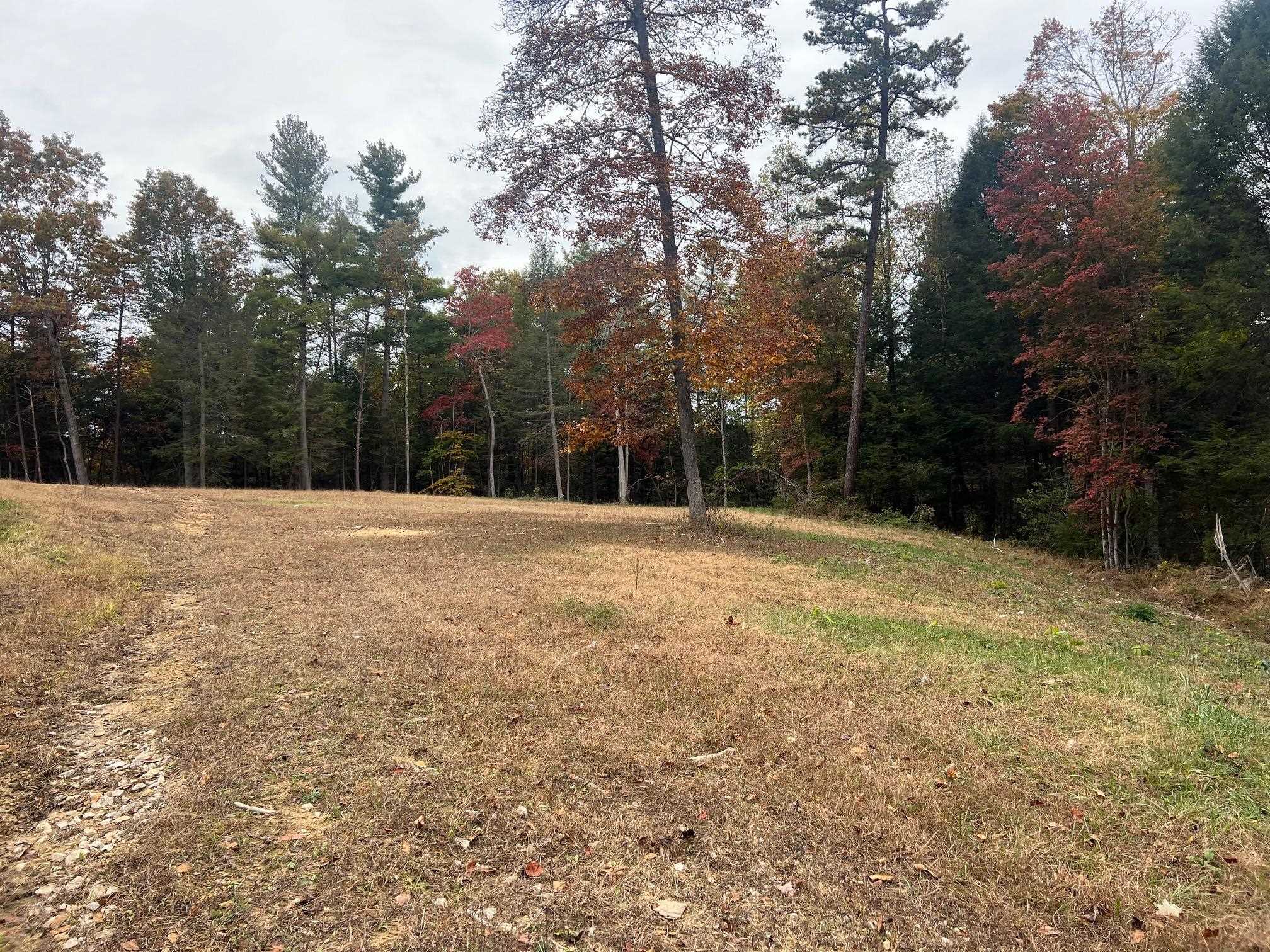 1195 Big Stone Road Sandy Hook, KY 41171 - Photo 12 of 12