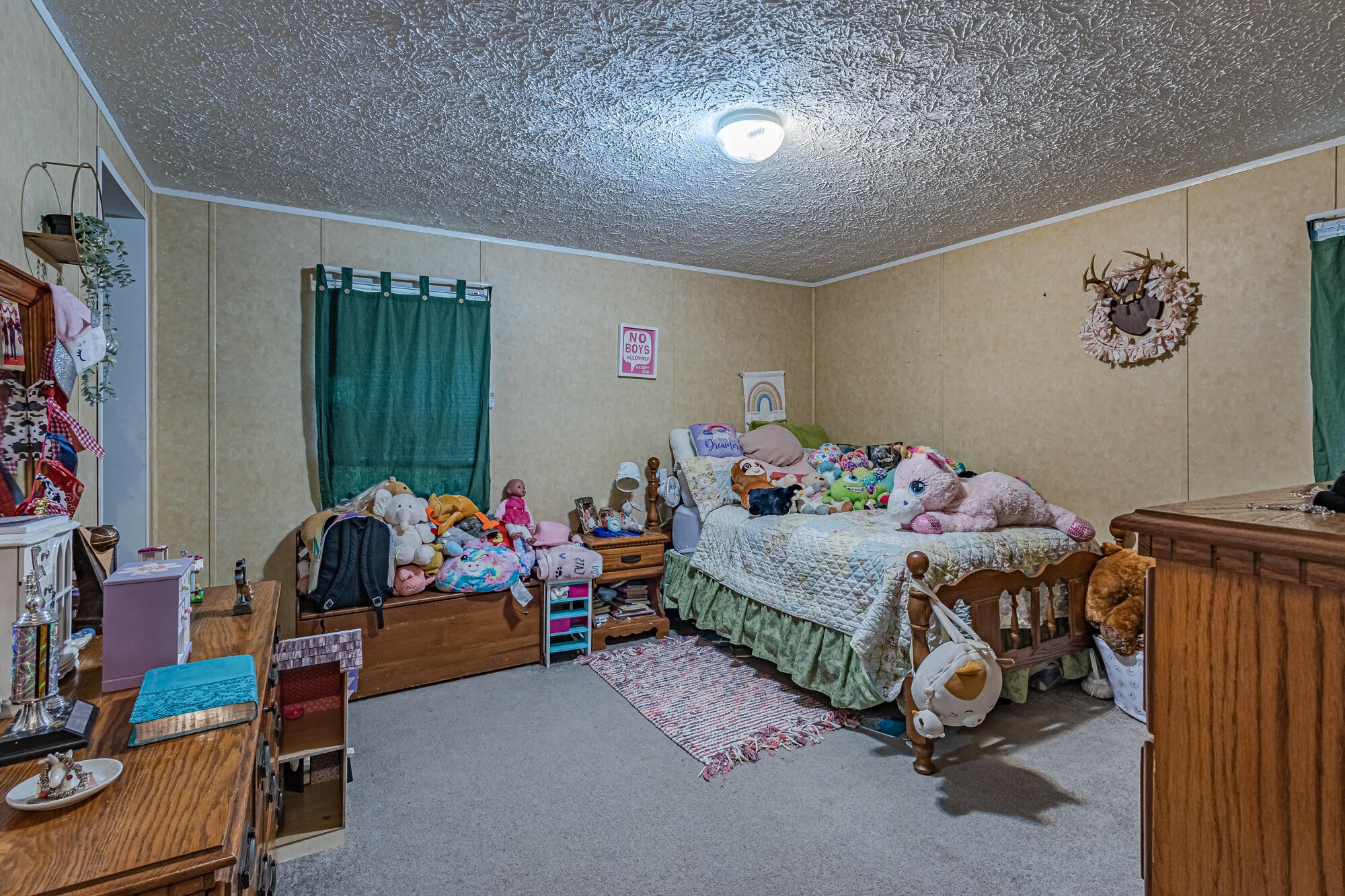 329 Thomas Road Benton, TN 37307 - Photo 17 of 32 Gallery Image 17