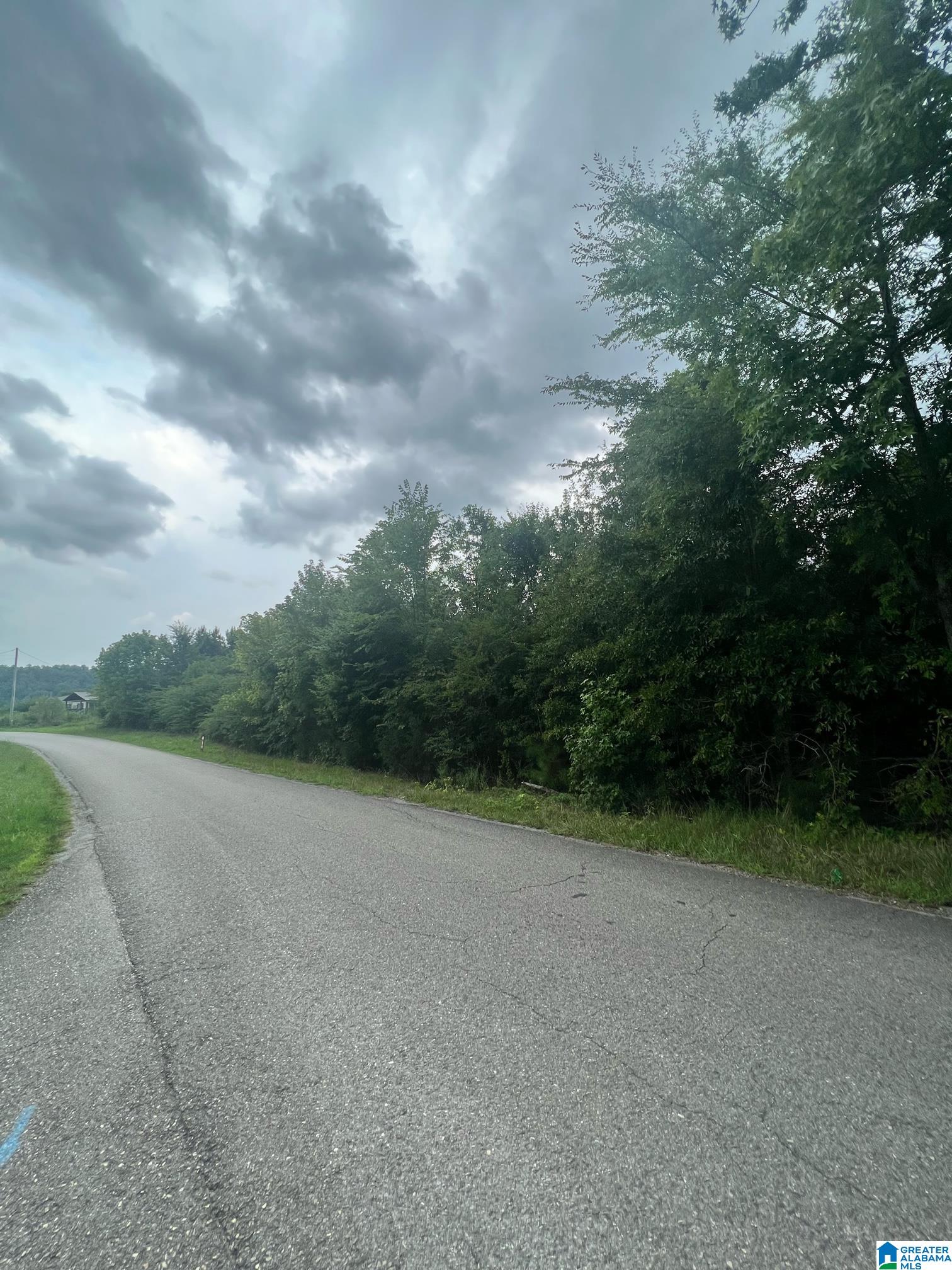 0 Verbon George Road Wellington, AL 36279 - Photo 1 of 3