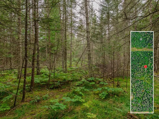 $28,900 | V/l V/l Us-02 Highway, Unit LOT 4, Gould City, MI 49838