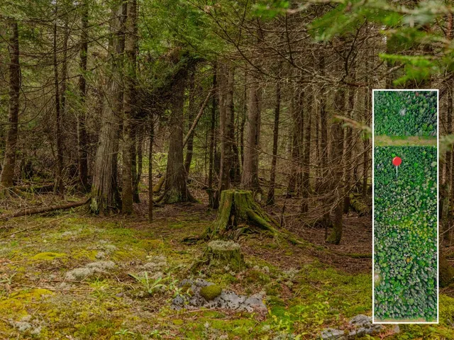 $28,900 | V/l V/l Us-02 Highway, Unit LOT 4, Gould City, MI 49838