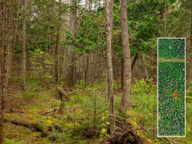 $28,900 | V/l V/l Us-02 Highway, Unit LOT 4, Gould City, MI 49838