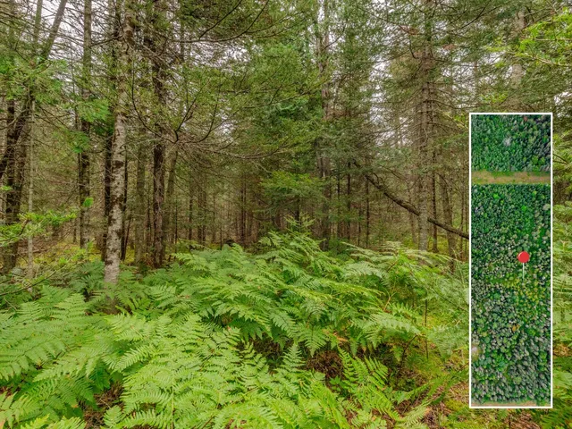 $28,900 | V/l V/l Us-02 Highway, Unit LOT 4, Gould City, MI 49838