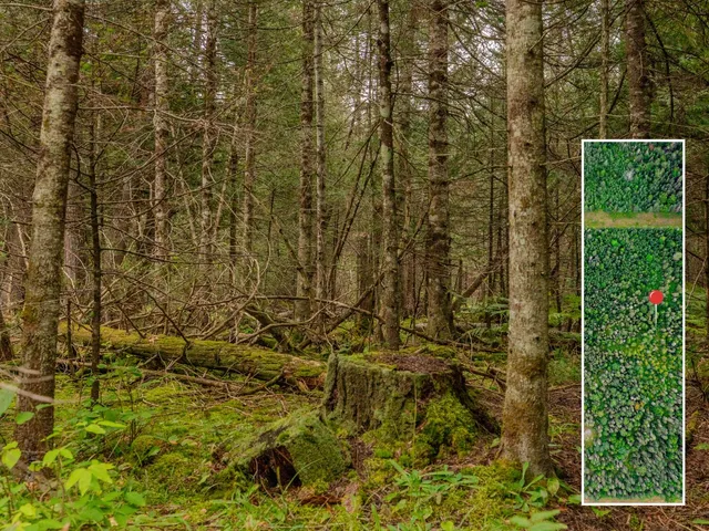 $28,900 | V/l V/l Us-02 Highway, Unit LOT 4, Gould City, MI 49838