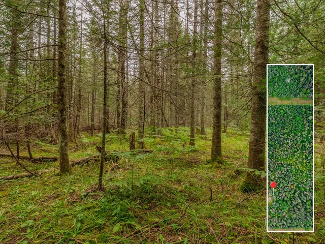 $28,900 | V/l V/l Us-02 Highway, Unit LOT 4, Gould City, MI 49838