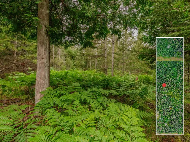 $28,900 | V/l V/l Us-02 Highway, Unit LOT 4, Gould City, MI 49838