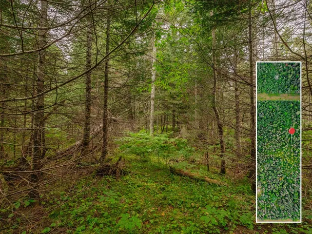 $28,900 | V/l V/l Us-02 Highway, Unit LOT 4, Gould City, MI 49838