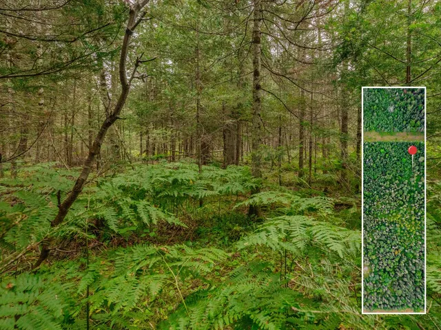 $28,900 | V/l V/l Us-02 Highway, Unit LOT 4, Gould City, MI 49838