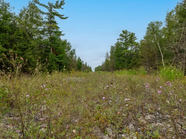 $28,900 | V/l V/l Us-02 Highway, Unit LOT 4, Gould City, MI 49838