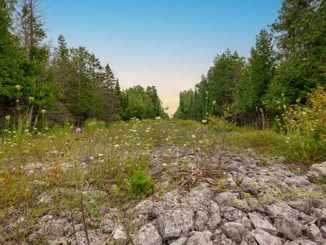 $28,900 | V/l V/l Us-02 Highway, Unit LOT 4, Gould City, MI 49838