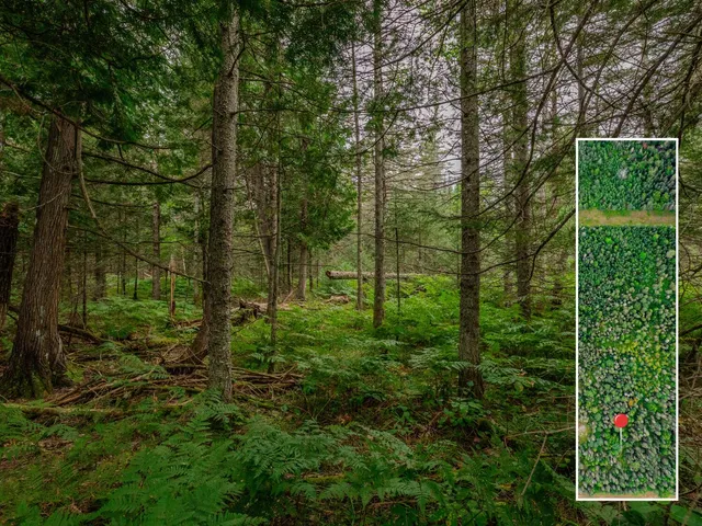 $28,900 | V/l V/l Us-02 Highway, Unit LOT 4, Gould City, MI 49838