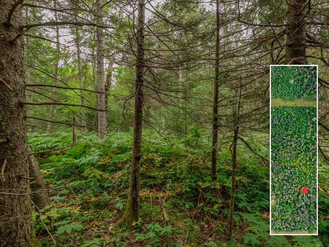 $28,900 | V/l V/l Us-02 Highway, Unit LOT 4, Gould City, MI 49838