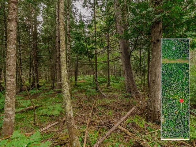 $28,900 | V/l V/l Us-02 Highway, Unit LOT 4, Gould City, MI 49838