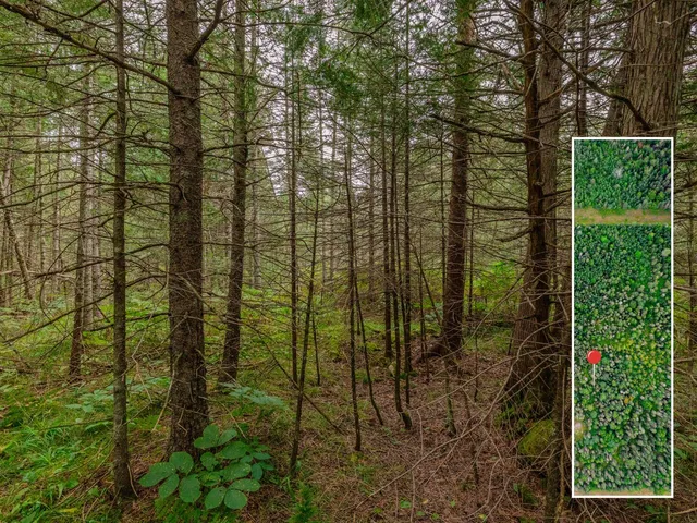 $28,900 | V/l V/l Us-02 Highway, Unit LOT 4, Gould City, MI 49838