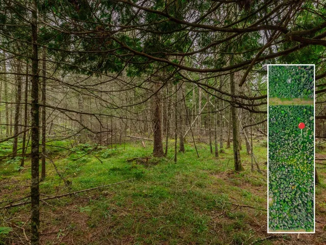 $28,900 | V/l V/l Us-02 Highway, Unit LOT 4, Gould City, MI 49838