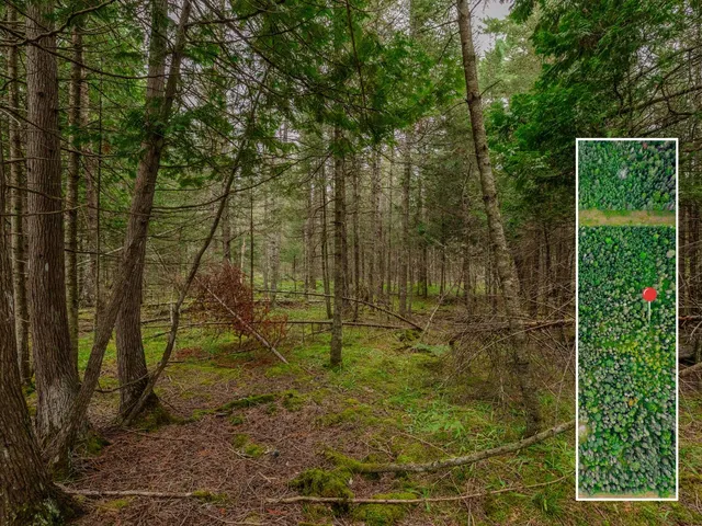 $28,900 | V/l V/l Us-02 Highway, Unit LOT 4, Gould City, MI 49838