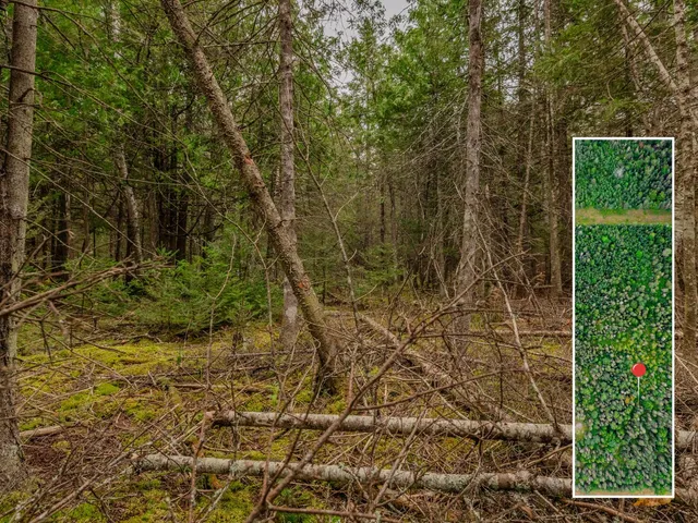 $28,900 | V/l V/l Us-02 Highway, Unit LOT 4, Gould City, MI 49838