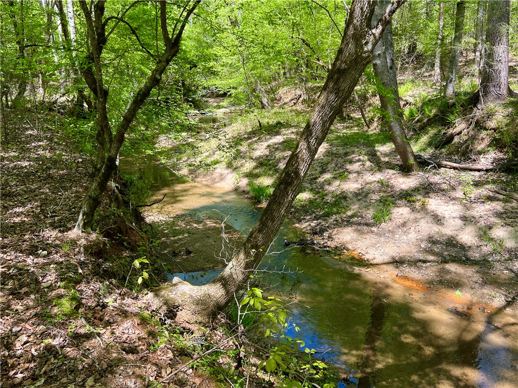 0 Crawford Rd Due Road Donalds, SC 29638 - Photo 11 of 35