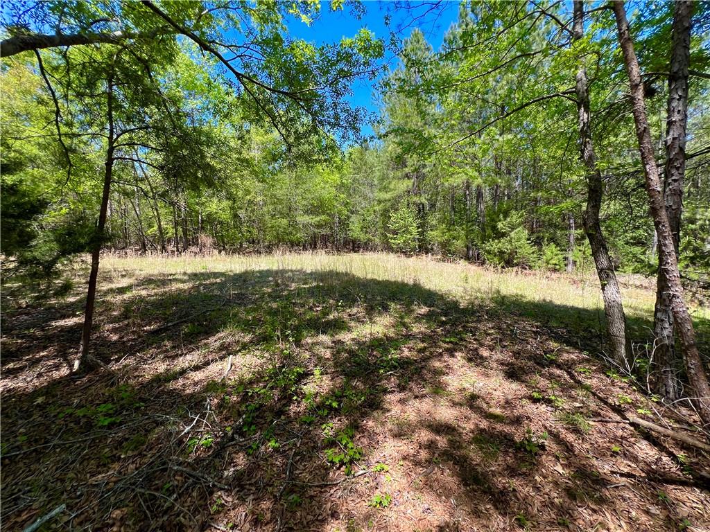 0 Crawford Rd Due Road Donalds, SC 29638 - Photo 15 of 35