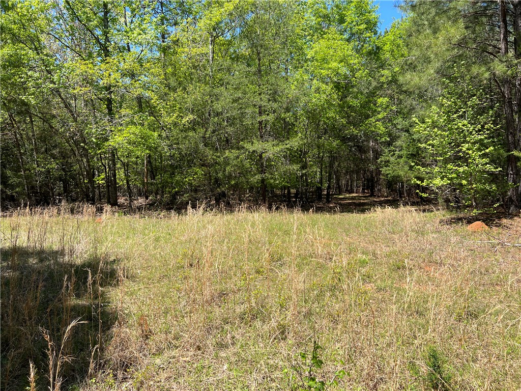 0 Crawford Rd Due Road Donalds, SC 29638 - Photo 17 of 35