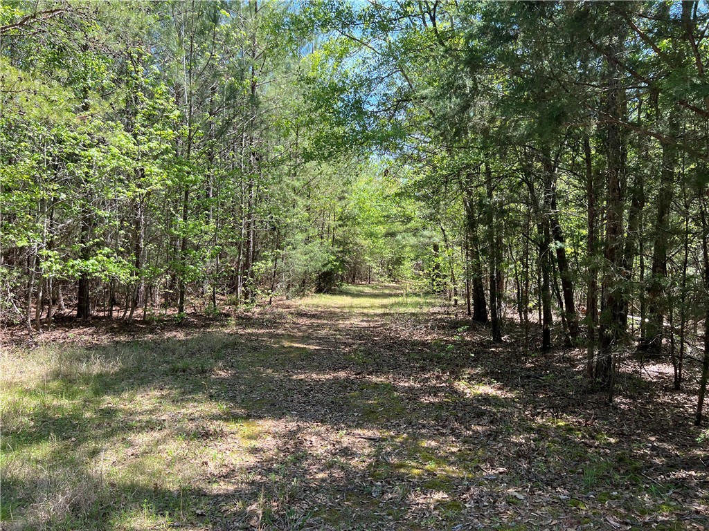 0 Crawford Rd Due Road Donalds, SC 29638 - Photo 18 of 35