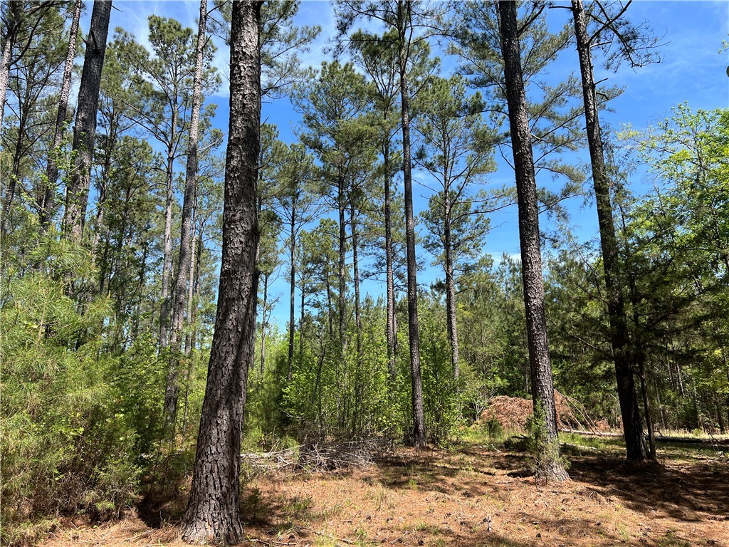 0 Crawford Rd Due Road Donalds, SC 29638 - Photo 23 of 35