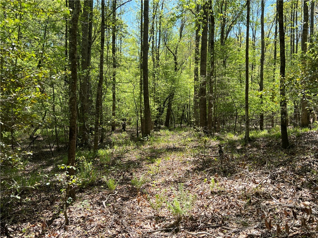 0 Crawford Rd Due Road Donalds, SC 29638 - Photo 24 of 35
