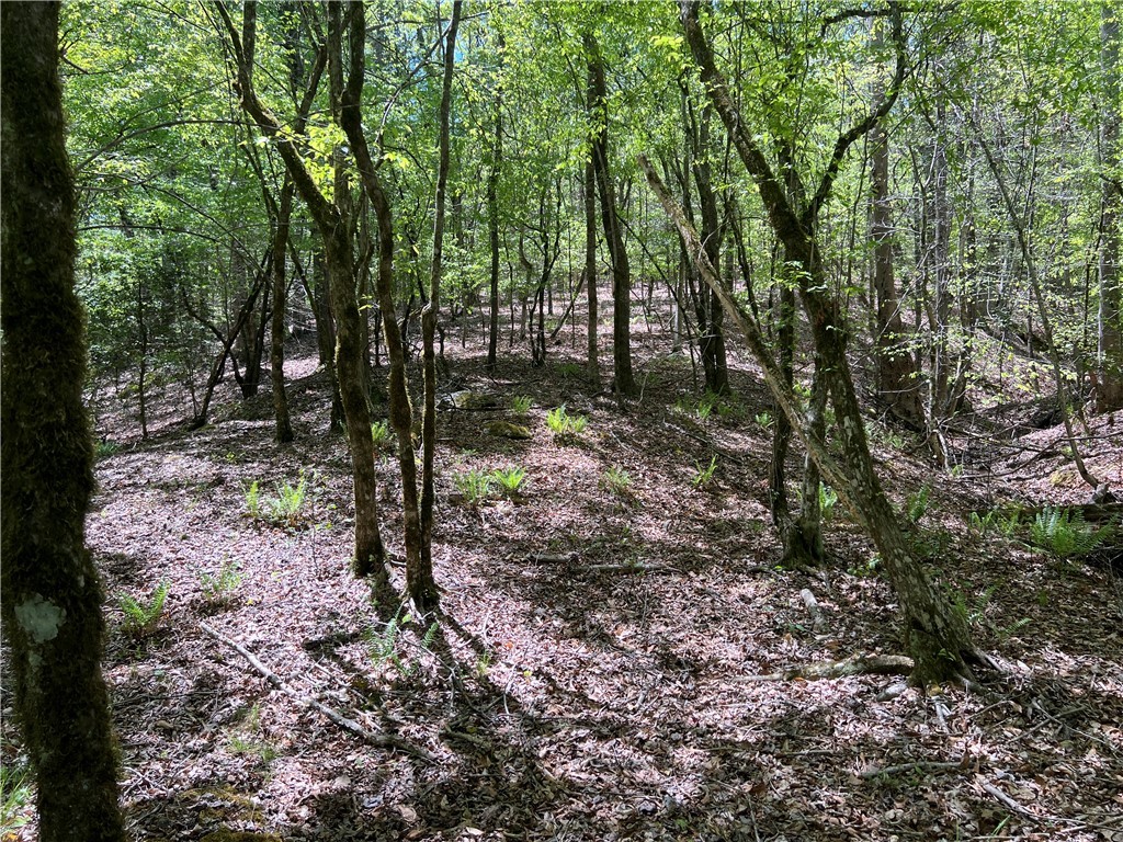 0 Crawford Rd Due Road Donalds, SC 29638 - Photo 25 of 35