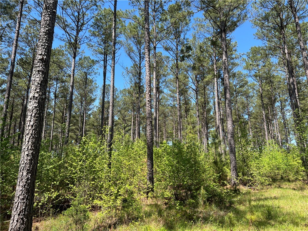 0 Crawford Rd Due Road Donalds, SC 29638 - Photo 26 of 35