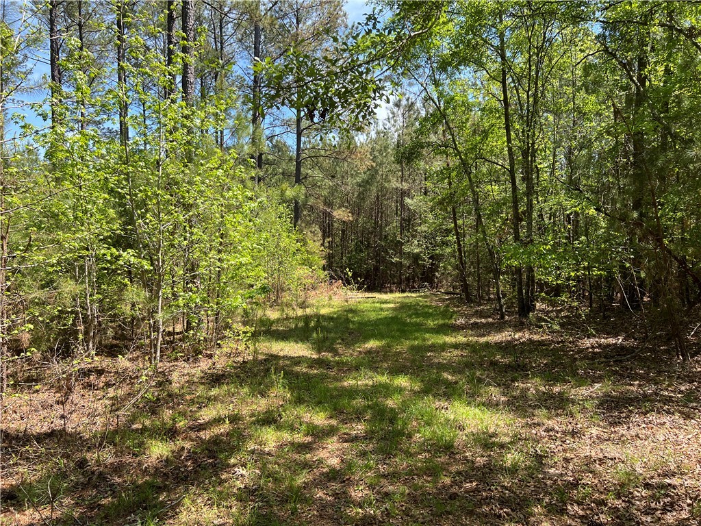 0 Crawford Rd Due Road Donalds, SC 29638 - Photo 27 of 35