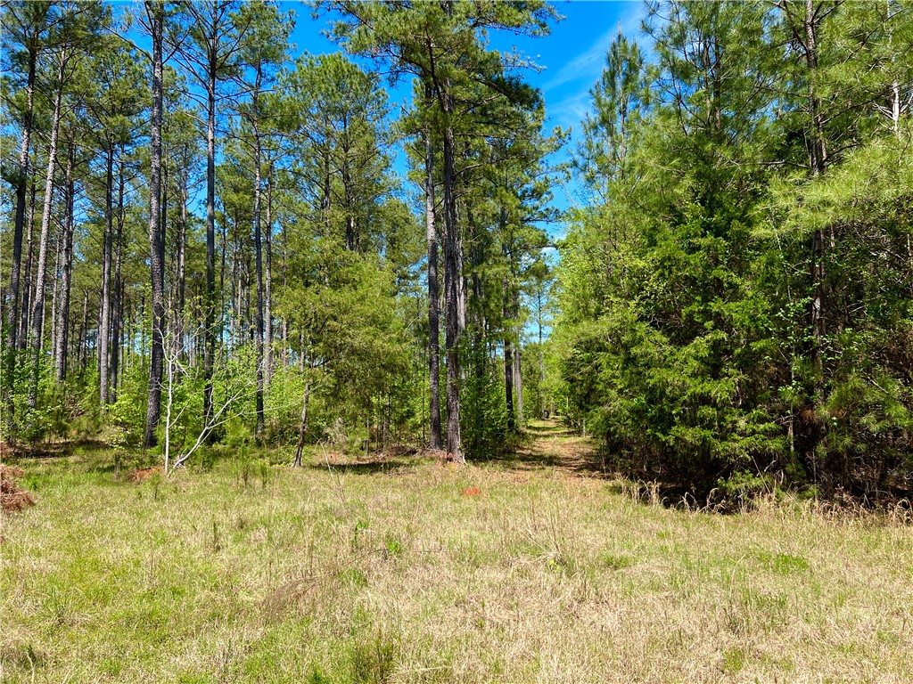0 Crawford Rd Due Road Donalds, SC 29638 - Photo 28 of 35