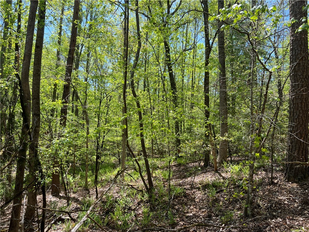 0 Crawford Rd Due Road Donalds, SC 29638 - Photo 29 of 35