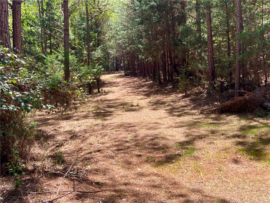 0 Crawford Rd Due Road Donalds, SC 29638 - Photo 32 of 35