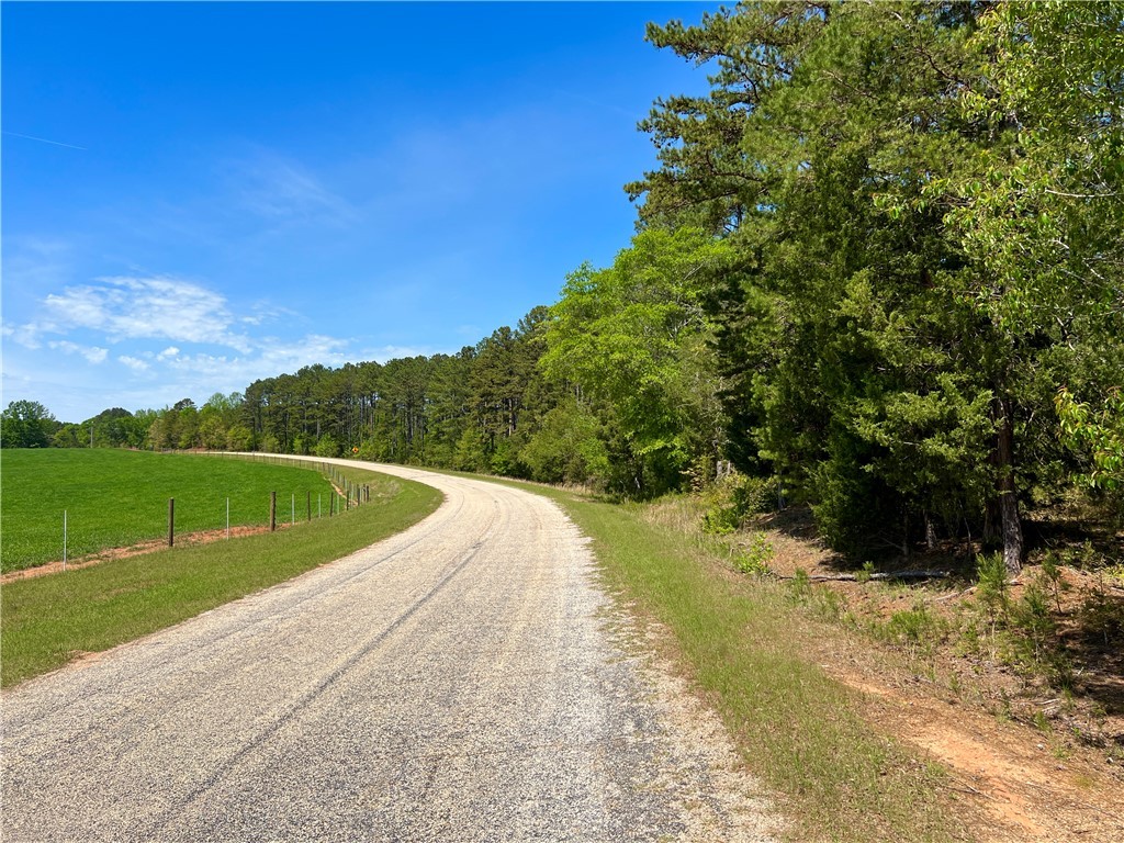 0 Crawford Rd Due Road Donalds, SC 29638 - Photo 34 of 35