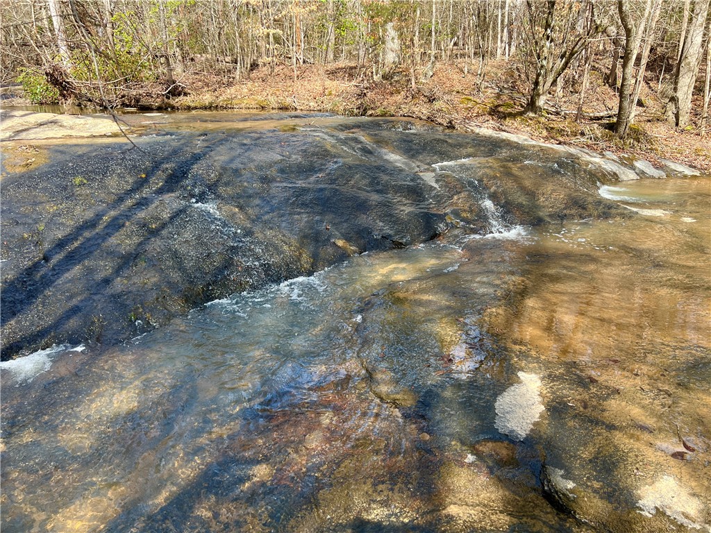 0 Crawford Rd Due Road Donalds, SC 29638 - Photo 4 of 35