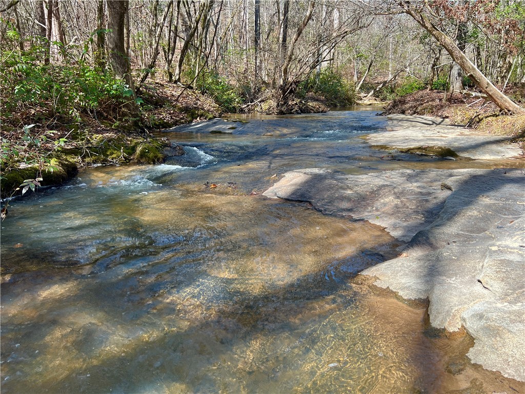 0 Crawford Rd Due Road Donalds, SC 29638 - Photo 6 of 35