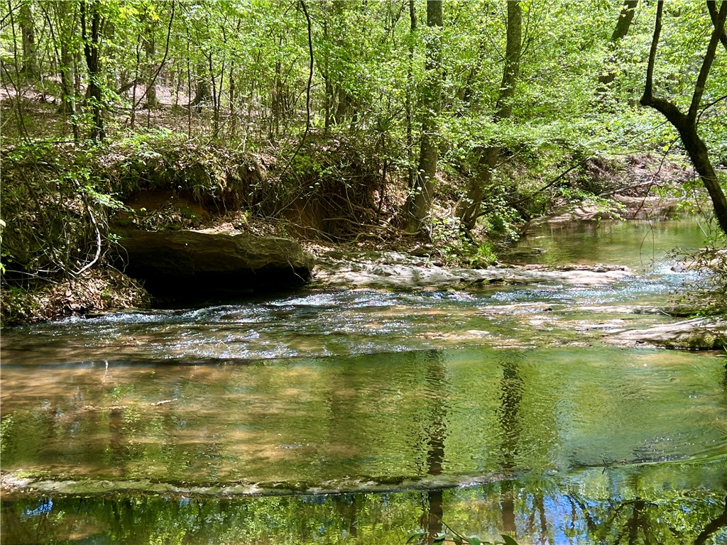0 Crawford Rd Due Road Donalds, SC 29638 - Photo 7 of 35