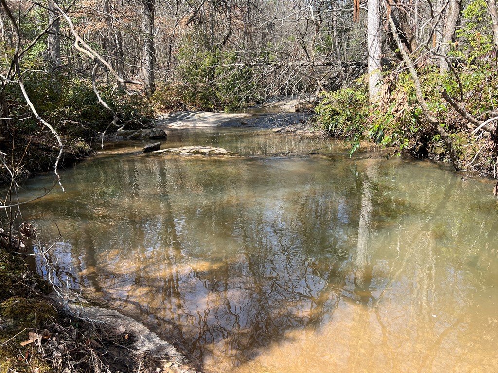 0 Crawford Rd Due Road Donalds, SC 29638 - Photo 10 of 35