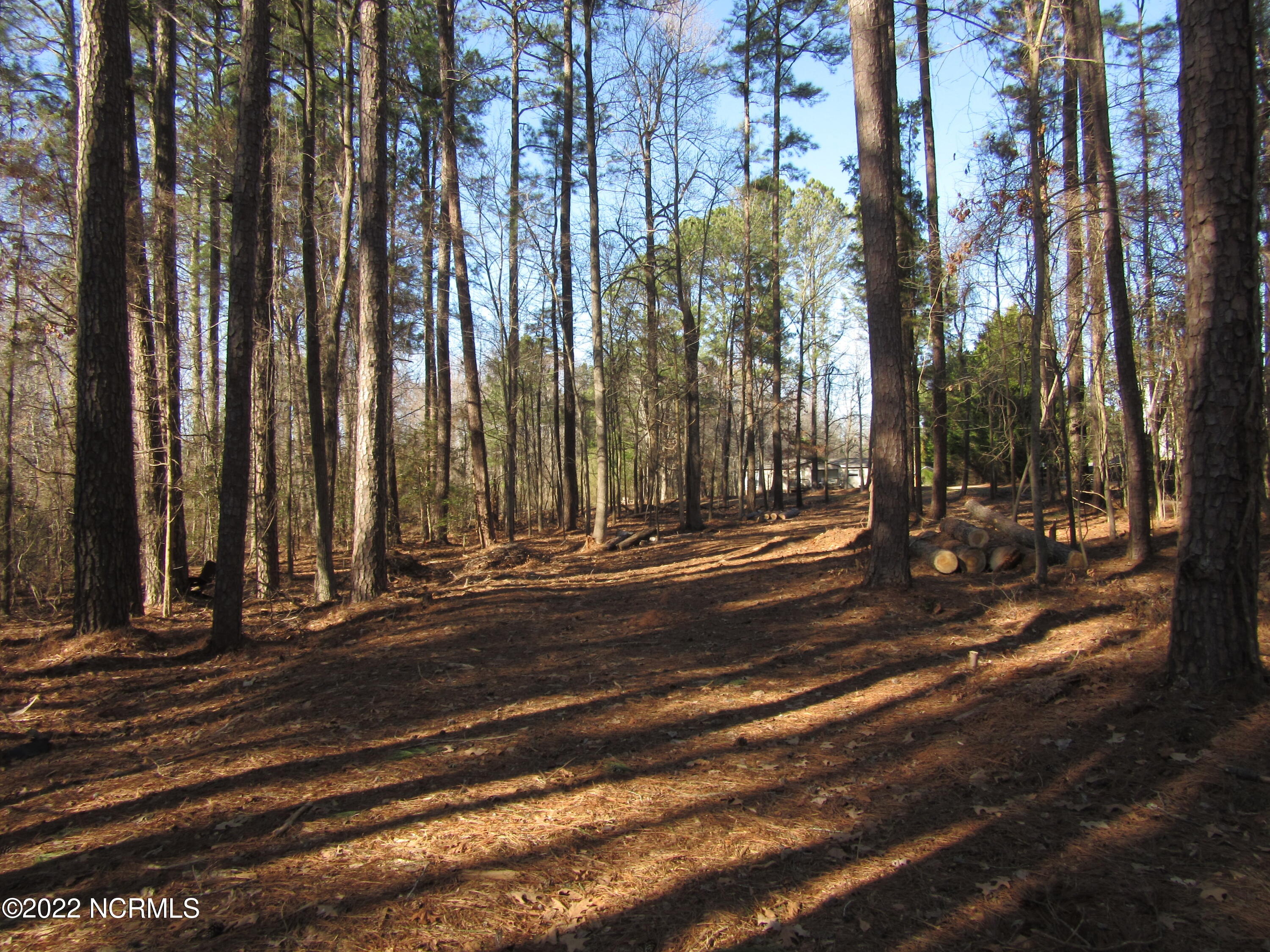 0 Denton Road Middlesex, NC 27557 - Photo 7 of 8 IMG_0512