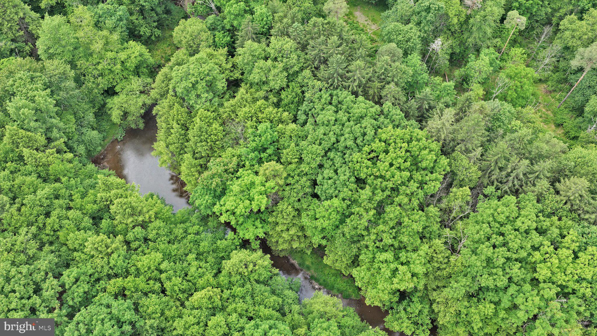 0 Fredericks Grove Road Lehighton, PA 18235 - Photo 6 of 14 Lush green canopy over a winding stream.