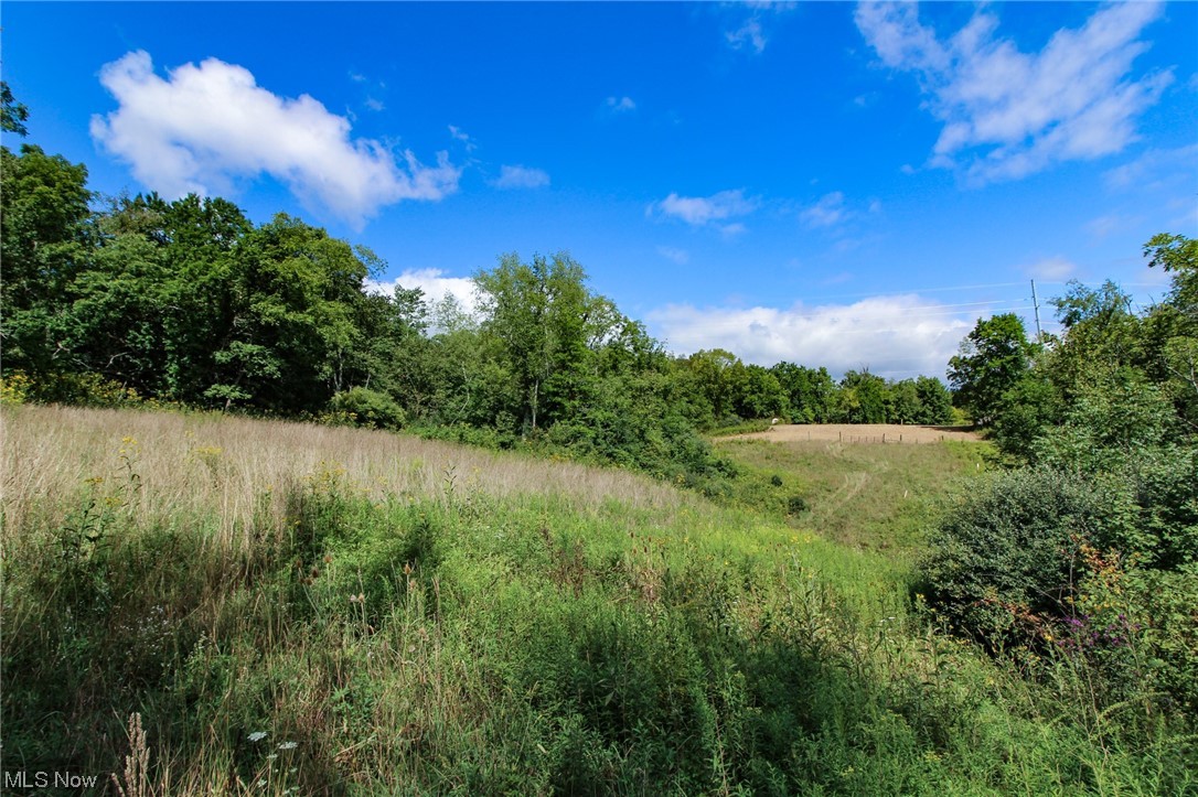 Dump Road Cadiz, OH 43907 - Photo 1 of 19 View of nature