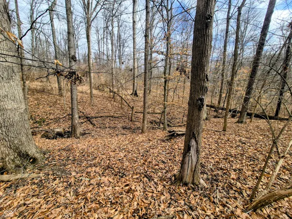 $314,900 | 8379 South Christian Drive, Nineveh, IN 46164