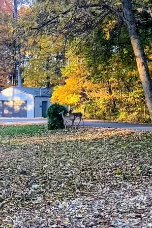 $314,900 | 8379 South Christian Drive, Nineveh, IN 46164