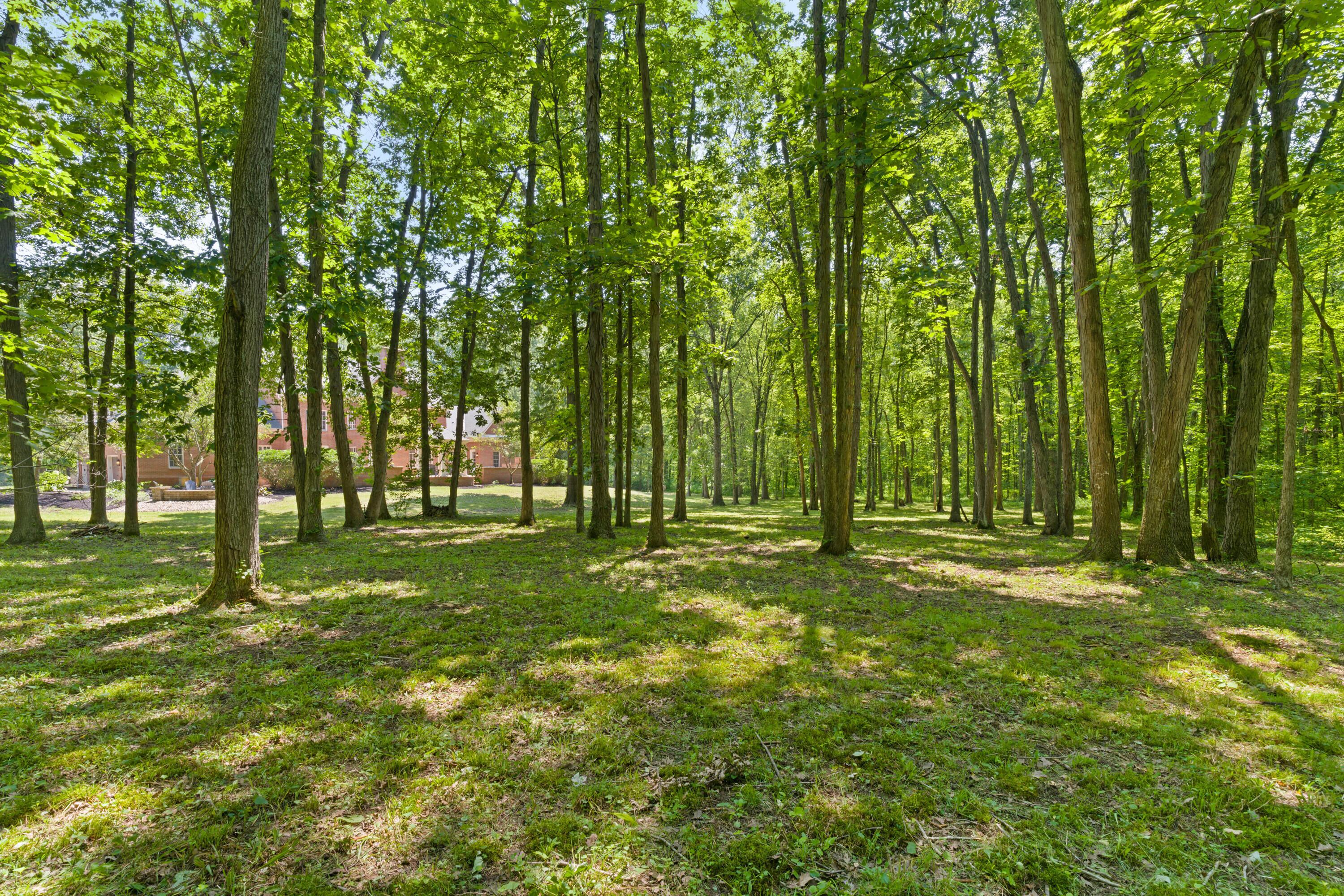5455 Plantation Road Sunbury, OH 43074 - Photo 133 of 176 Backyard