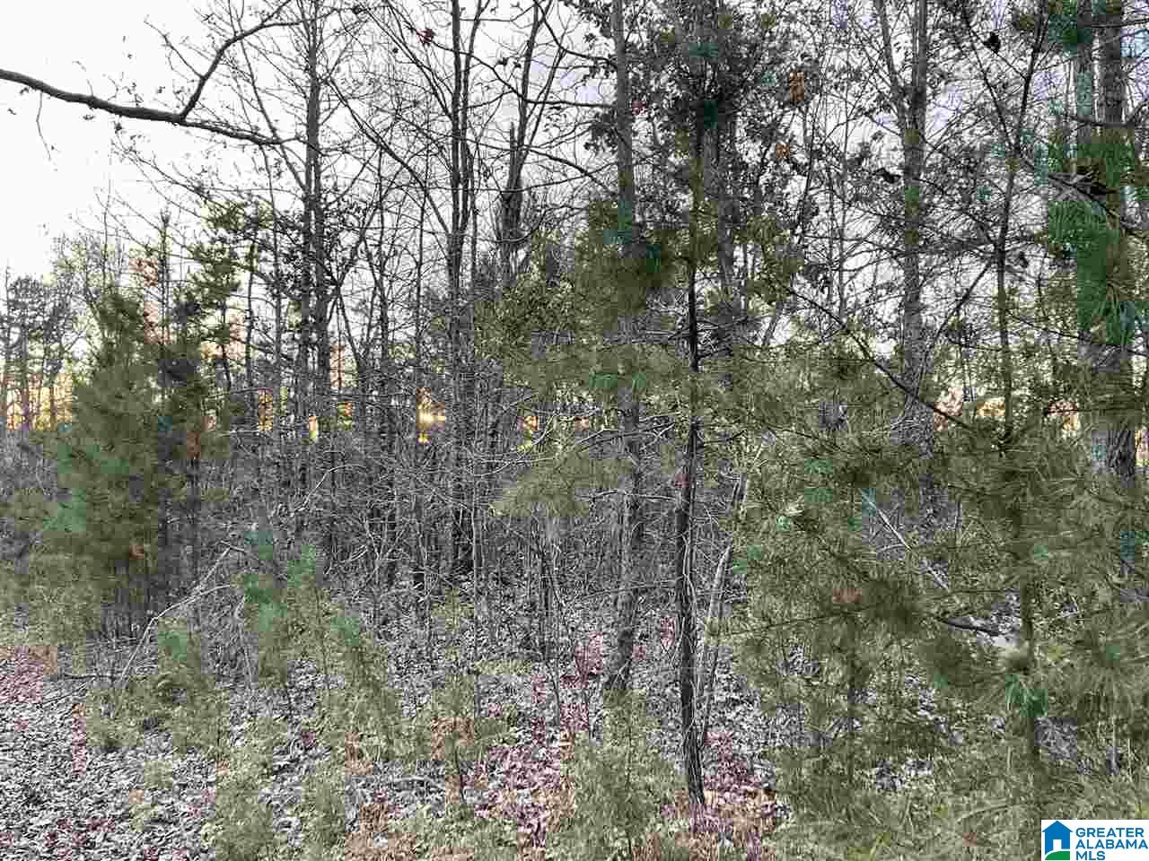 7931 Goodner Mountain Road Trussville, AL 35173 - Photo 13 of 20