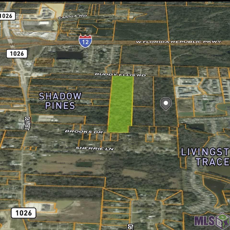 10700 Buddy Ellis Road Denham Springs, LA 70726 - Photo 3 of 3