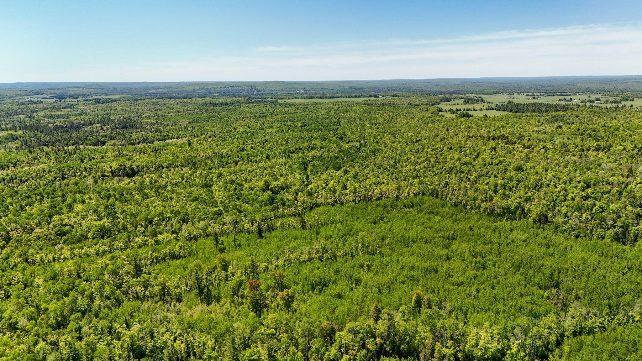 DJI_20260602001511_0738_D