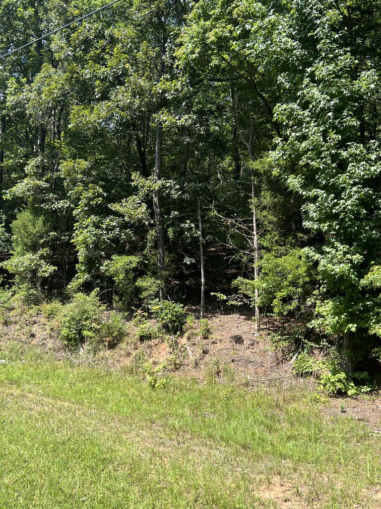 0 Davidson Road West Point, GA 31833 - Photo 4 of 11 Gallery Image 4
